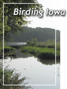 Iowa Birds Pictures