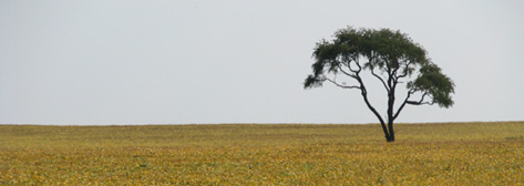 Iowa lansdcape - photo by Paul Hertzel