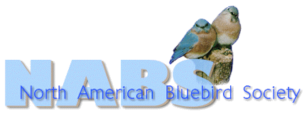 NABS Logo