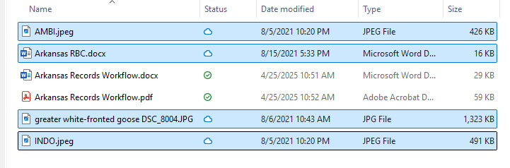 Multiple files