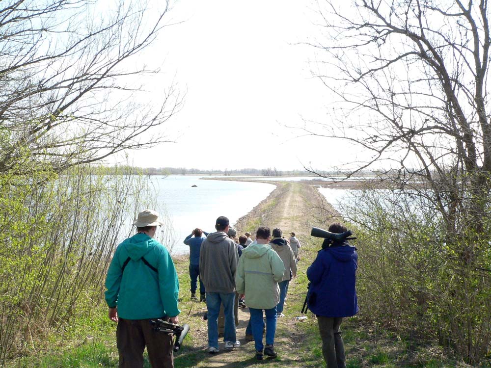 Iowa City Bird Club Outing to Cone Marsh