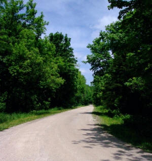 Figure 2. The entrance road to Starr’s Cave State Preserve is an excellent birding area during migration and nesting. Photograph by John Rutenbeck, Burlington, IA.