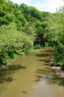 Figure 4. Looking downstream from the Draper Bridge at Flint Creek. Photograph by John Rutenbeck, Burlington, IA.