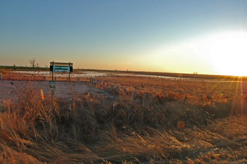 Figure 3. Winter, Owego Wetlands Complex, Woodbury, November 2006. Photograph by Paul Roisen, Sioux City, IA.