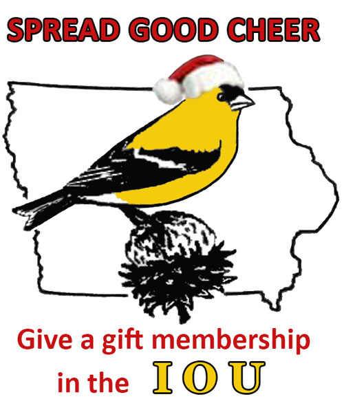 Give a gift of IOU membership